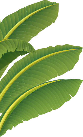Banana Leaf Left
